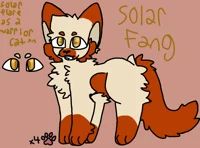 WC-AU SolarFlare 