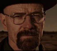Walter white