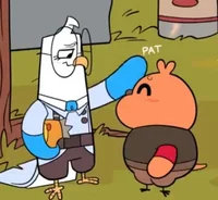 Pootis and Medimedes