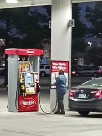 Shapeshifting dragon