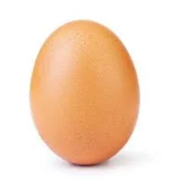 egg