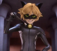 Chat Noir