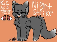 Warrior Cats-AU KC