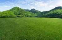 The countryside
