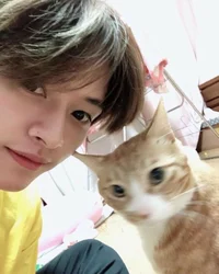 Minho-cat