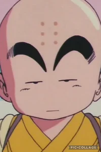 KID KRILLIN