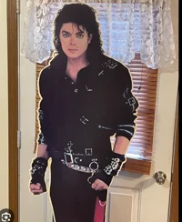 Cardboard Michael