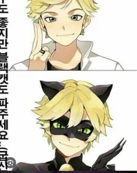 Adrien-Chat Noir