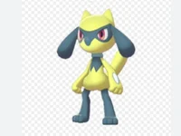 Shiny riolu fixed