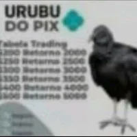 Urubu do Pix