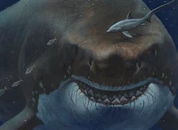 Megalodon