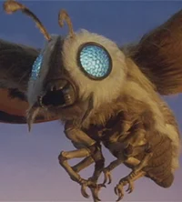 Mothra