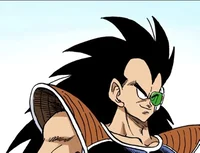 Raditz