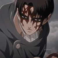 Levi