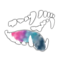 David - Past edition