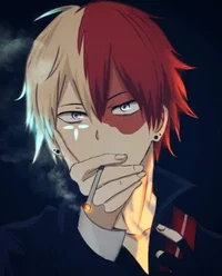Shoto Todoroki 