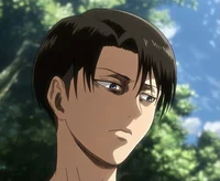 Levi crush