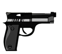 Pistol