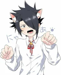 Cat Ray - TPN