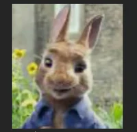 Peter Rabbit 2