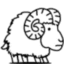 Baa Baa