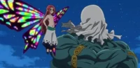 Drole and gloxinia