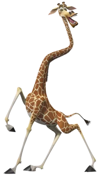 Melman 1