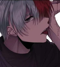 Shoto Todoroki