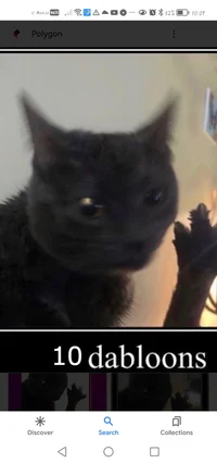 Dabloon cat