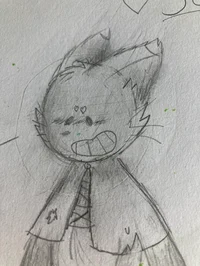 Socks_Fox
