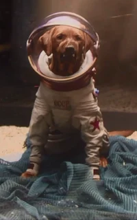Cosmo the Spacedog