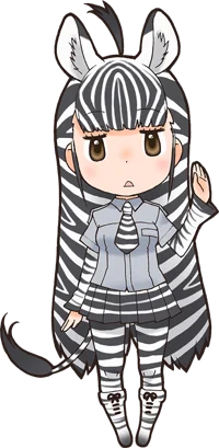 Plains Zebra