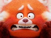 The panda 
