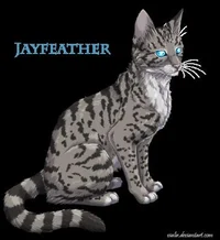 Jayfeather 