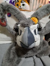 Silver the wolf dino