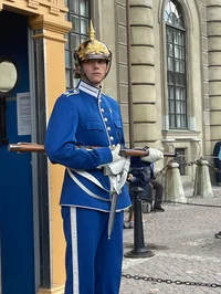 Swedish royal guard