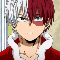 Shoto Todoroki Bf