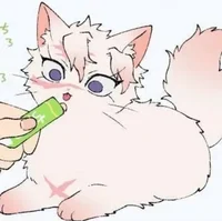 Cat Sanemi