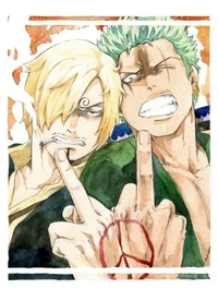 Zoro And Sanji
