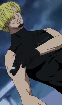 Sanji after WCI