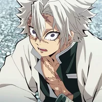 sanemi shinazugawa 