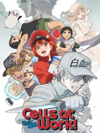Cells at Work