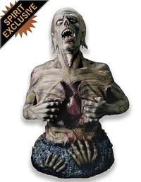 Chester the Chest Ri