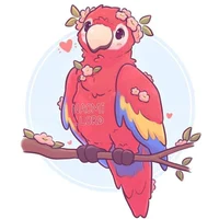 Macaw