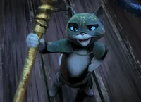 Kitty SoftPaws _male