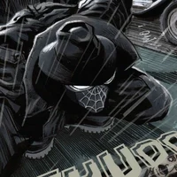 Spider Noir