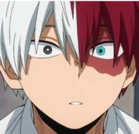 Shoto Todoroki