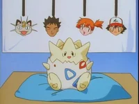 Togepi