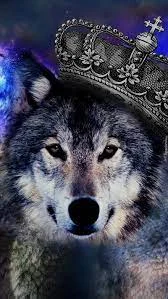 Wolf queen