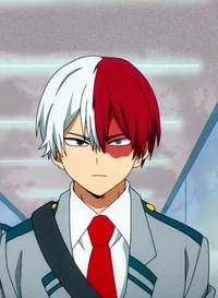 Shoto Todoroki